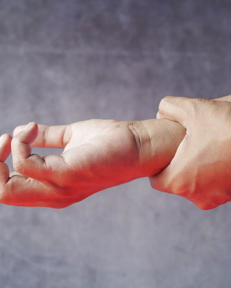 Collagène de type 2, la protéine du cartilage articulaire