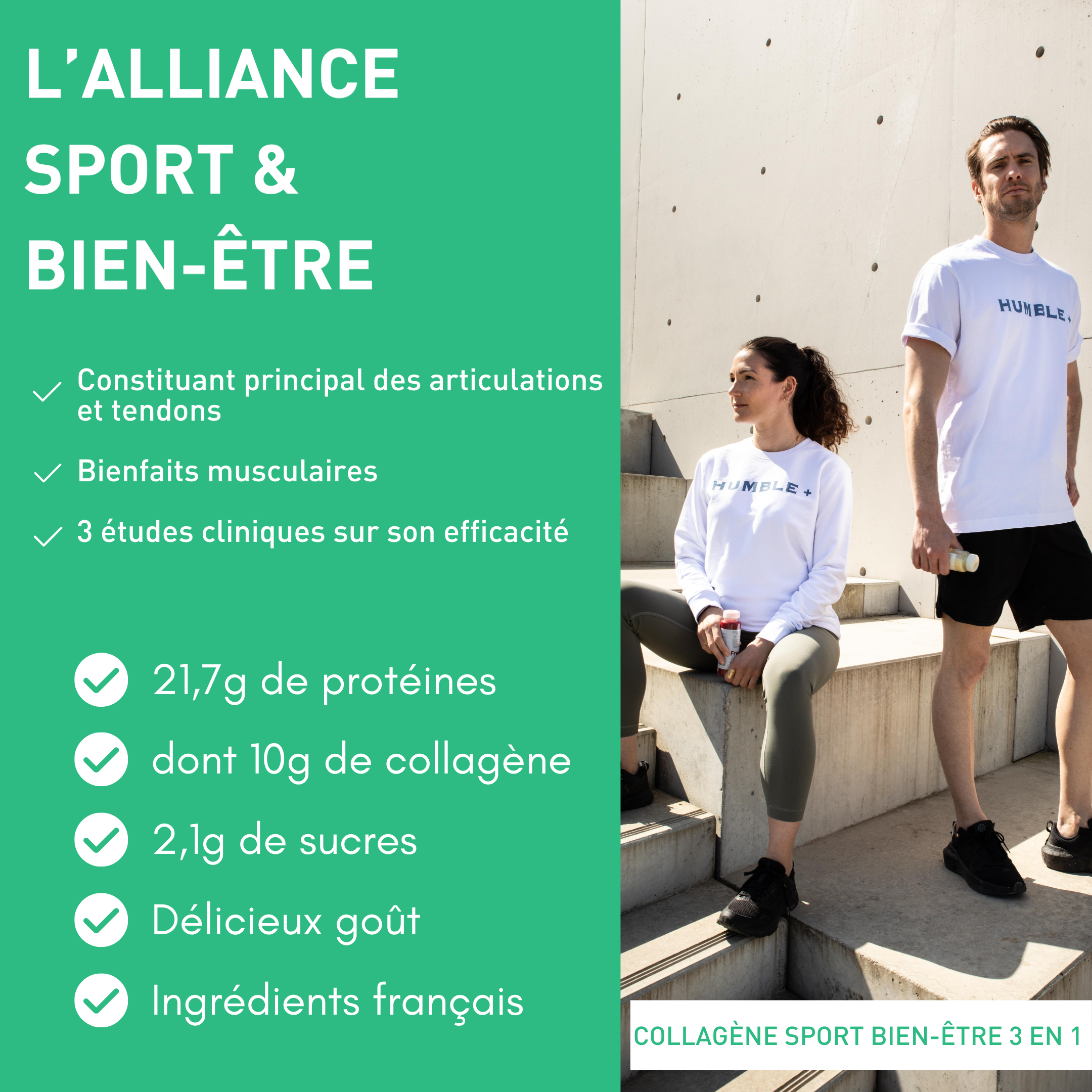 Protéine + Collagène marin