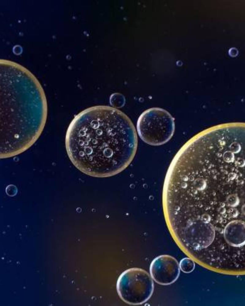 Huile de poisson, krill ou algues : quelle source d’oméga-3 choisir ?