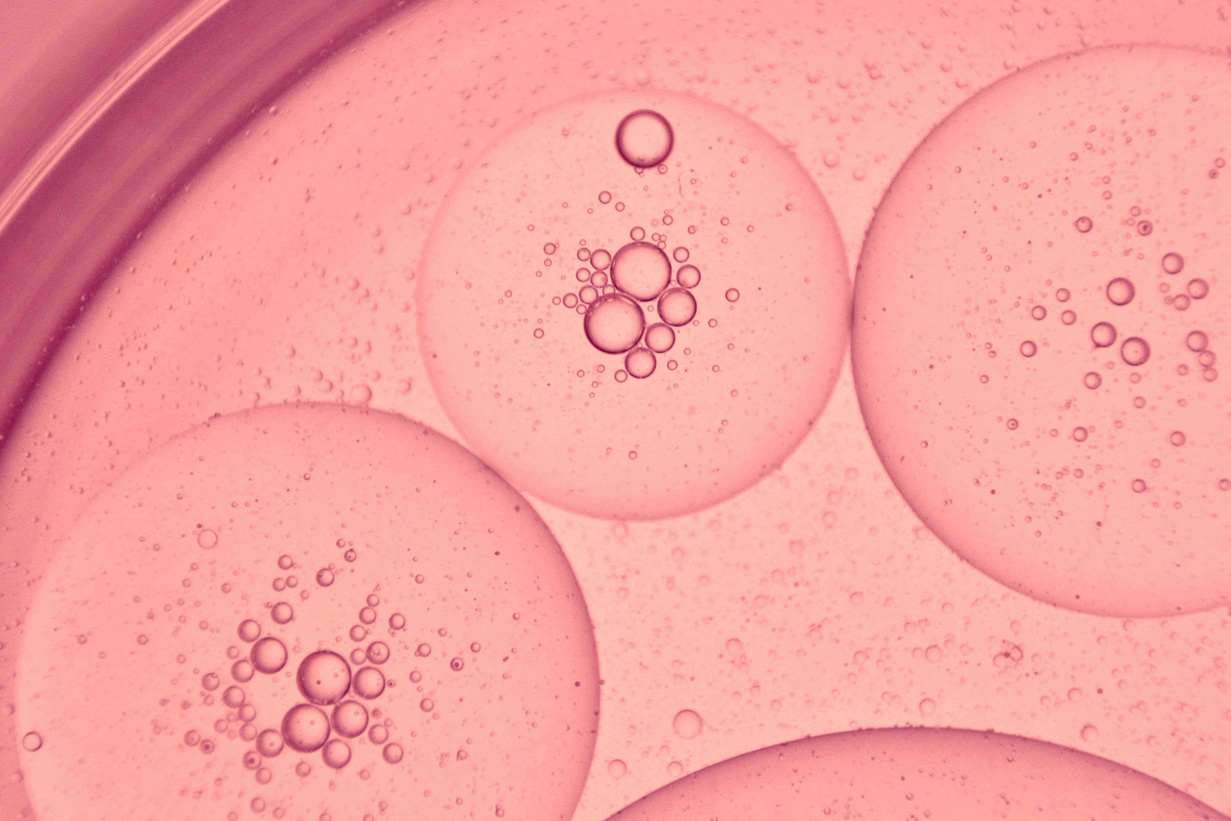 Le collagène est-il anti-inflammatoire ?