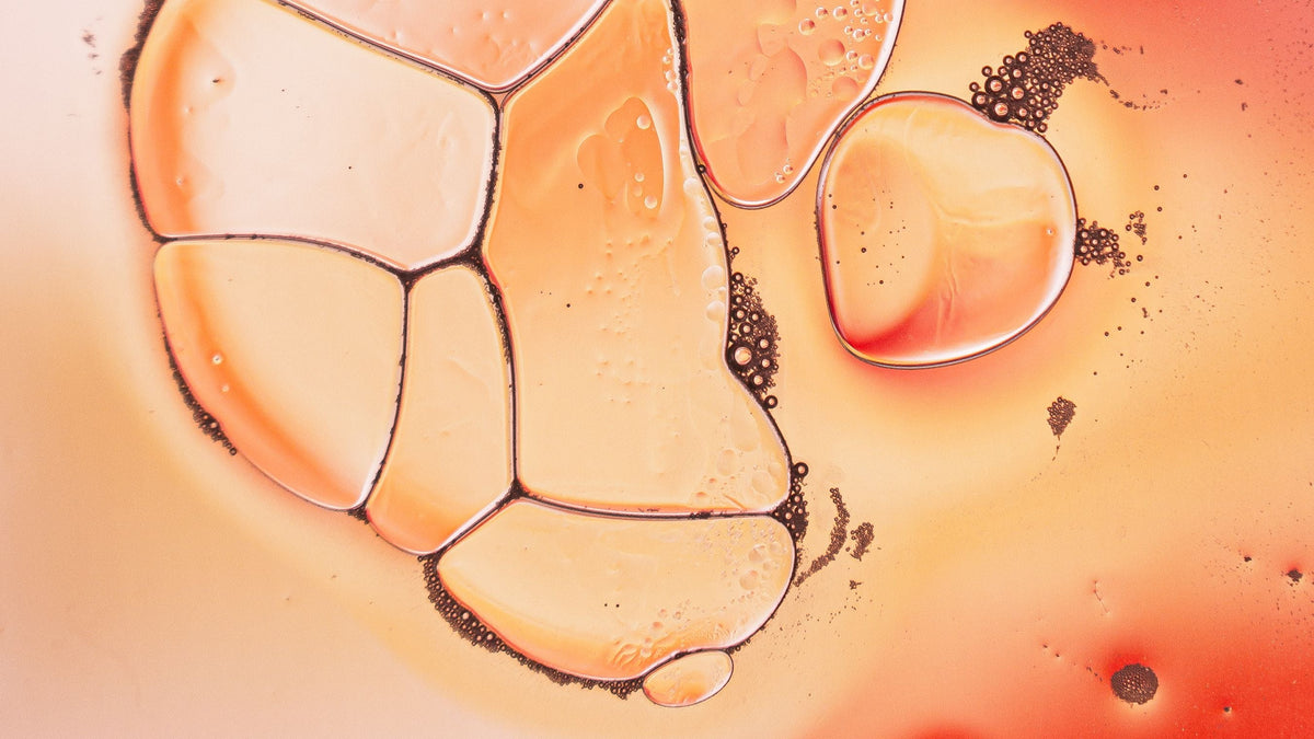 Cuivre et vitamine C : les cofacteurs de la synthèse du collagène