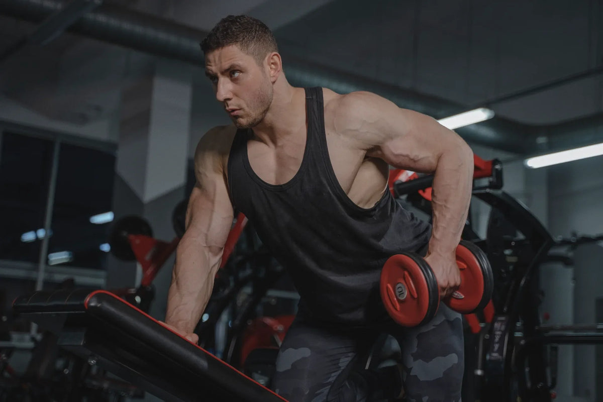 Musculation et collagène : y-a-t-il un lien ?