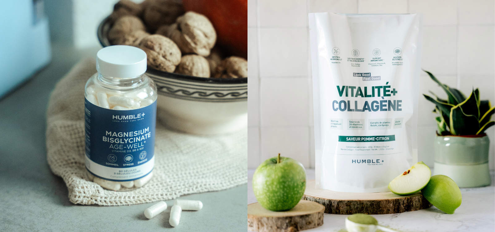 Pilier Fatigue & Vitalité