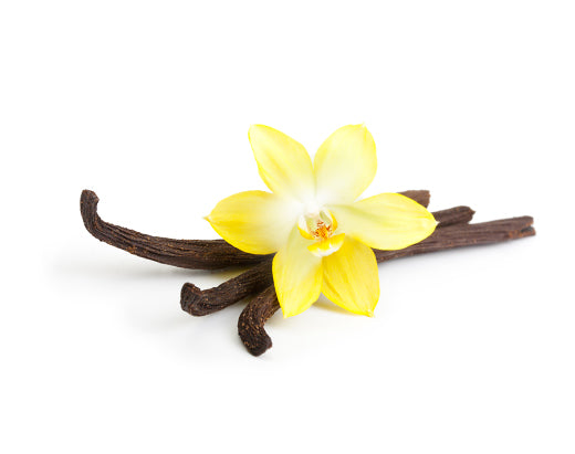 Protéine + Collagène marin