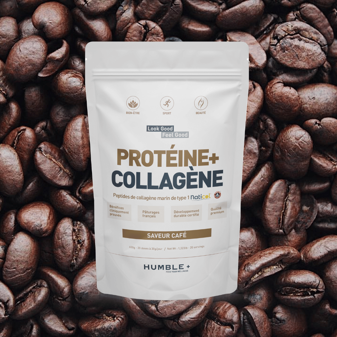 Protéine + Collagène marin