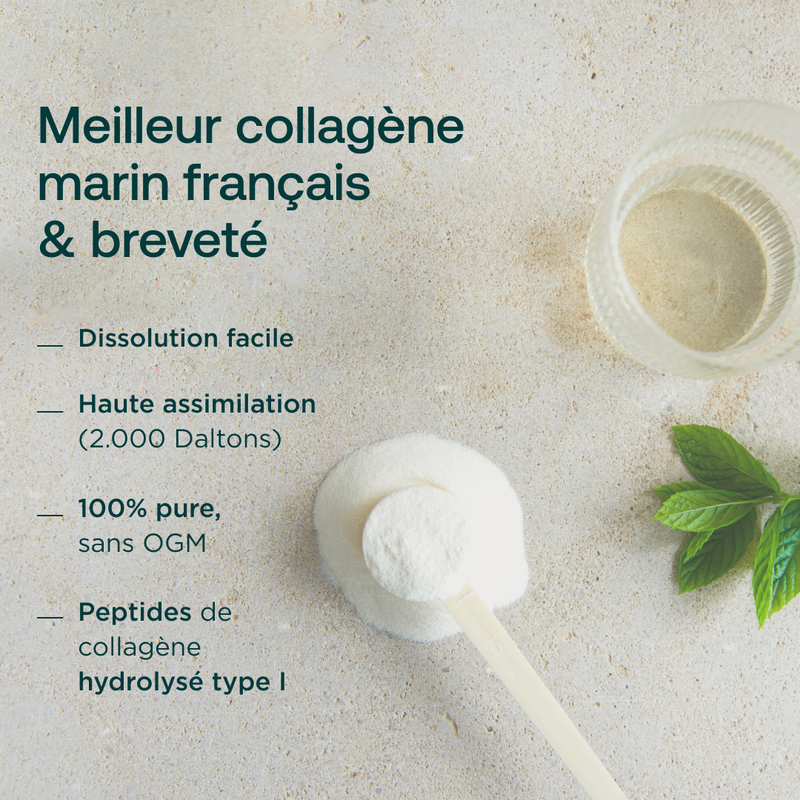 Meilleur collagène marin articulation Collagène poudre — free download