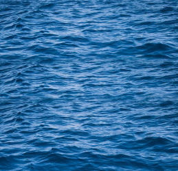 Pur Collagène Marin Confort