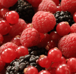 Pur Collagène Marin Confort