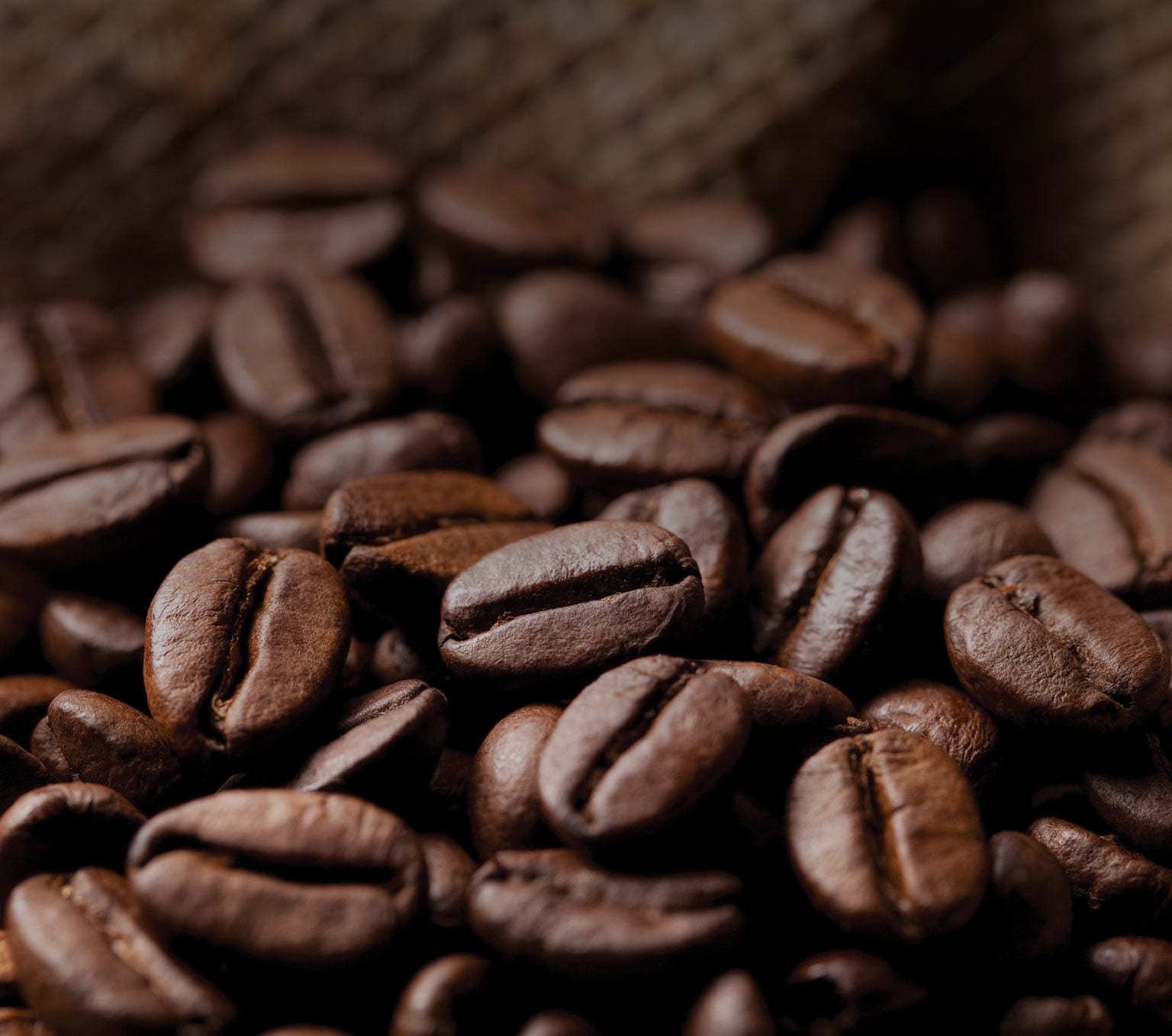 Protéine + Collagène marin