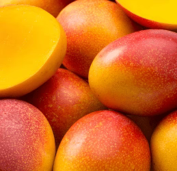 Pur Collagène Marin Confort